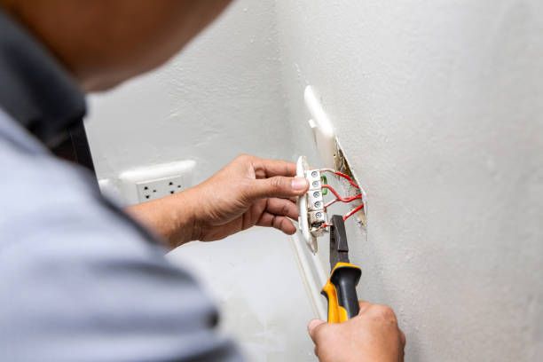 Best Electrical System Inspection  in Brighton, MI