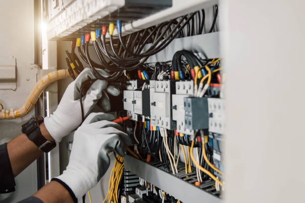 Best Electric Panel Repair  in Brighton, MI